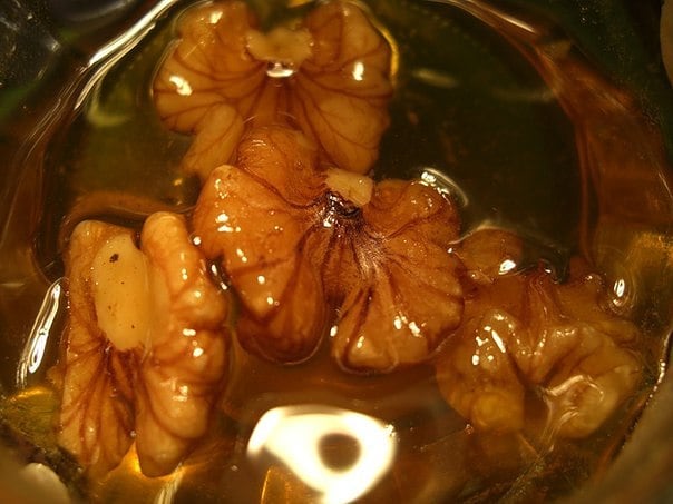 خواص مصرف گردو و عسل طبیععی